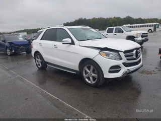 MERCEDES-BENZ MERCEDES-BENZ GLE 350 4MATIC
