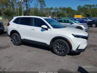 HONDA HONDA CR-V EX-L AWD