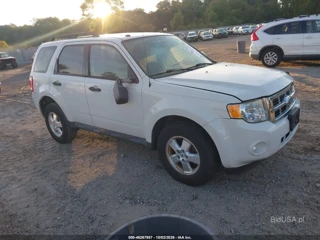 FORD FORD ESCAPE XLT