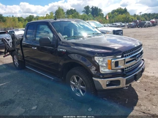 FORD FORD F-150 XLT