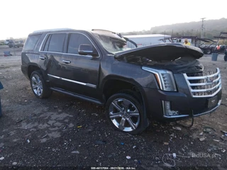 CADILLAC CADILLAC ESCALADE PREMIUM COLLECTION
