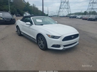 FORD FORD MUSTANG ECOBOOST PREMIUM