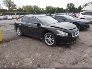 NISSAN NISSAN MAXIMA 3.5 SV