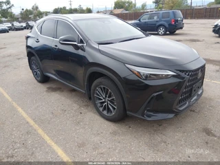 LEXUS LEXUS NX 350H PREMIUM