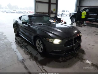 FORD FORD MUSTANG V6