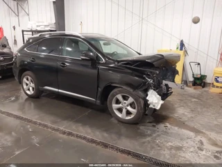LEXUS LEXUS RX 350
