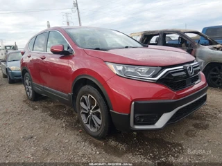 HONDA HONDA CR-V AWD EX