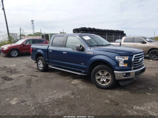 FORD FORD F-150 XLT