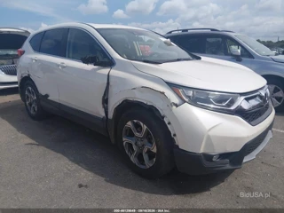 HONDA HONDA CR-V EX