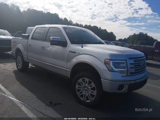 FORD FORD F-150 PLATINUM