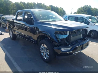 FORD FORD F-150 PLATINUM