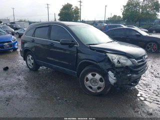 HONDA HONDA CR-V LX
