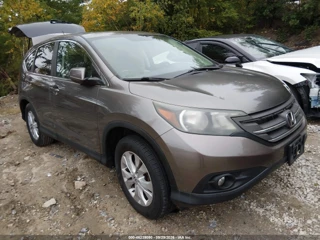 HONDA HONDA CR-V EX