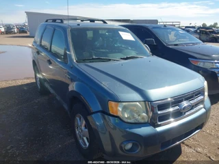 FORD FORD ESCAPE XLT