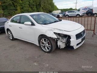 NISSAN NISSAN MAXIMA 3.5 SV