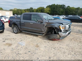 FORD FORD F-150 XLT