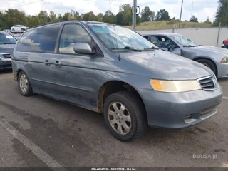 HONDA HONDA ODYSSEY EX-L