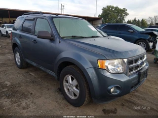 FORD FORD ESCAPE XLT