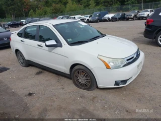 FORD FORD FOCUS SE