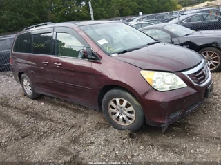 HONDA HONDA ODYSSEY EX-L