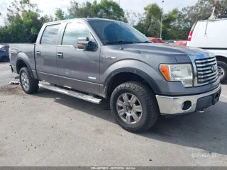 FORD FORD F-150 XLT