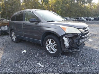 HONDA HONDA CR-V EX