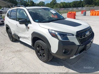 SUBARU SUBARU FORESTER WILDERNESS