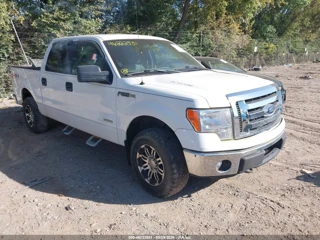 FORD FORD F-150 XLT
