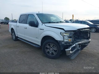 FORD FORD F-150 XLT