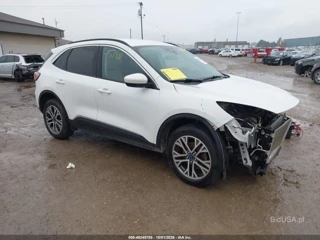 FORD FORD ESCAPE SEL