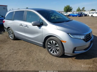 HONDA HONDA ODYSSEY EX-L