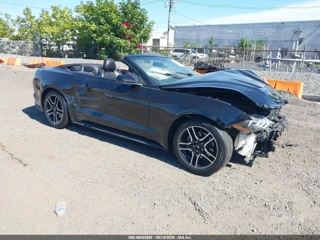 FORD FORD MUSTANG ECOBOOST PREMIUM