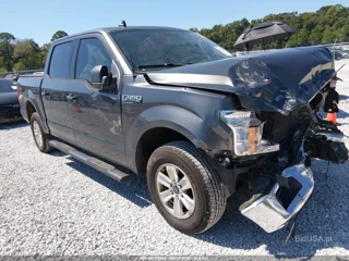 FORD FORD F-150 XLT