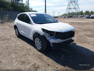 FORD FORD ESCAPE ACTIVE