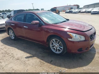 NISSAN NISSAN MAXIMA 3.5 SV