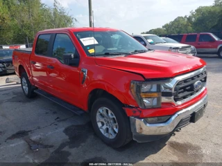 FORD FORD F-150 XLT