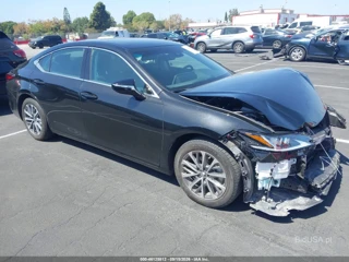 LEXUS LEXUS ES 350