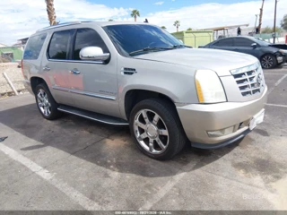 CADILLAC CADILLAC ESCALADE STANDARD