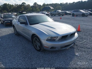 FORD FORD MUSTANG V6