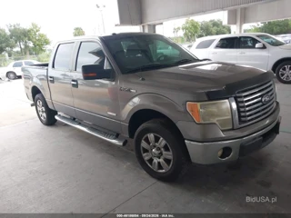FORD FORD F-150 XLT