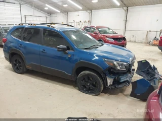 SUBARU SUBARU FORESTER WILDERNESS
