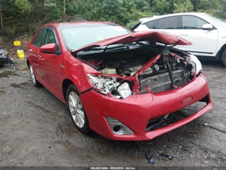 TOYOTA TOYOTA CAMRY HYBRID XLE
