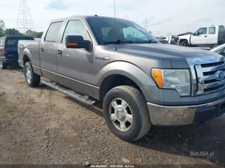 FORD FORD F-150 FX4/HARLEY-DAVIDSON/KING RANCH/LARIAT/PLATINUM/XL/XLT