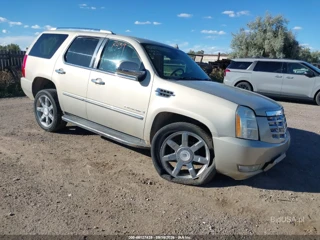 CADILLAC CADILLAC ESCALADE STANDARD