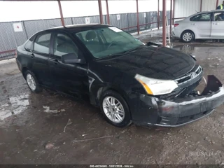 FORD FORD FOCUS SE/SES