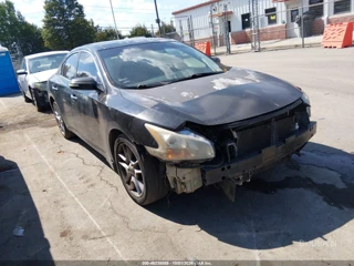 NISSAN NISSAN MAXIMA 3.5 SV