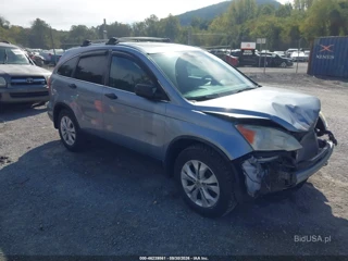 HONDA HONDA CR-V EX