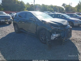 LEXUS LEXUS NX 350 PREMIUM