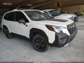 SUBARU SUBARU FORESTER WILDERNESS