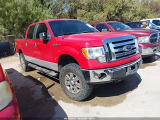 FORD FORD F-150 XLT